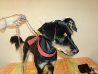 /album/fotos/de-todo-065-jpg/